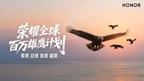 包含全球顶级球队争夺荣耀，重磅赛事展现激烈的词条